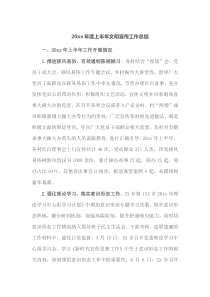20XX年度上半年文明宣传工作总结