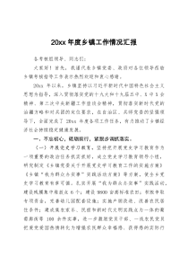 20XX年度乡镇工作总结