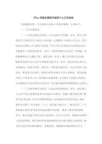 20XX年度乡镇班子成员个人工作总结