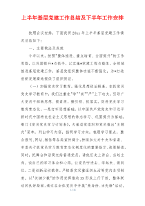 上半年基层党建工作总结及下半年工作安排