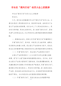 市长在“清风行动”动员大会上的致辞