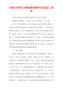 招商分局局长在集团新能源项目品鉴会上致辞