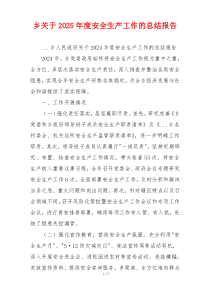 乡关于2025年度安全生产工作的总结报告