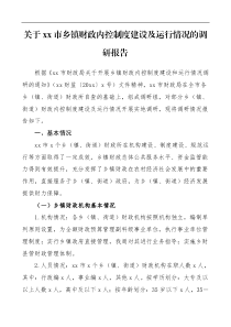 调研报告乡镇财政内控制度建设及运行情况调研报告范文单位内部控制