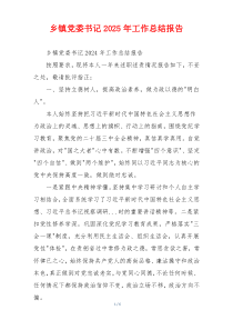 乡镇党委书记2025年工作总结报告
