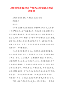 上级领导在镇2025年度民主生活会上的讲话提纲