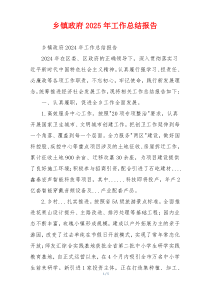乡镇政府2025年工作总结报告