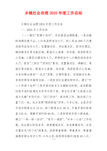 乡镇社会治理2025年度工作总结
