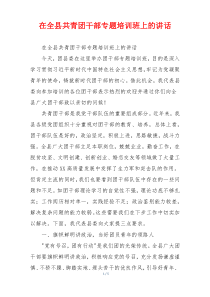 在全县共青团干部专题培训班上的讲话