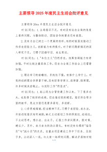 主要领导2025年度民主生活会批评意见