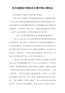 党支部建设中落实民主集中制心得体会