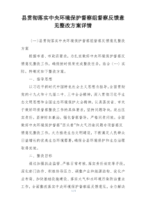 县贯彻落实中央环境保护督察组督察反馈意见整改方案详情