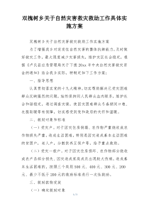 双槐树乡关于自然灾害救灾救助工作具体实施方案