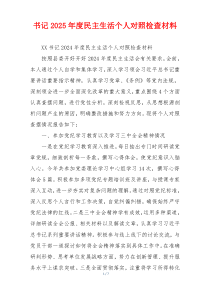 书记2025年度民主生活个人对照检查材料