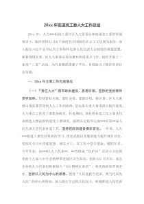 20XX年街道党工委人大工作总结