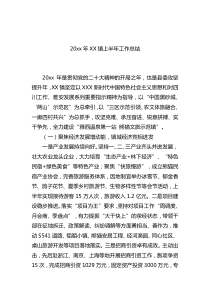 20XX年镇上半年工作总结