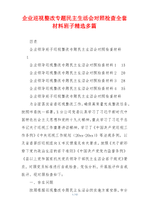 企业巡视整改专题民主生活会对照检查全套材料班子精选多篇