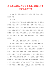 在全县未成年人保护工作领导小组第二次全体会议上的讲话