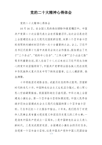 党的二十大精神心得体会