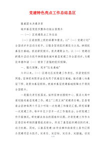 党建特色亮点工作总结县区