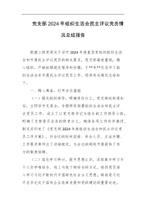 党支部2024年组织生活会民主评议党员情况总结报告