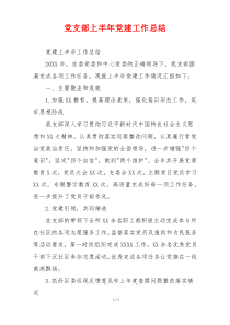 党支部上半年党建工作总结
