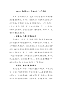 20XX民政局17月安全生产工作总结