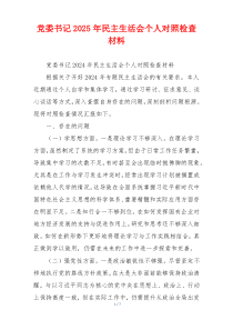党委书记2025年民主生活会个人对照检查材料