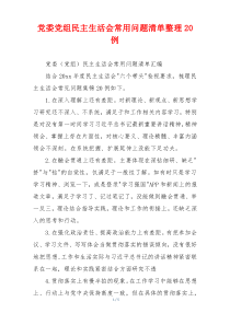 党委党组民主生活会常用问题清单整理20例