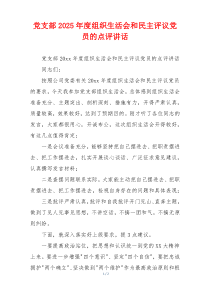 党支部2025年度组织生活会和民主评议党员的点评讲话