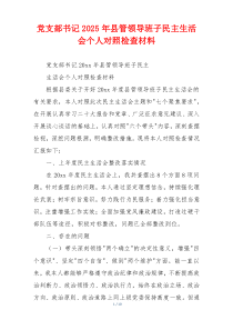 党支部书记2025年县管领导班子民主生活会个人对照检查材料