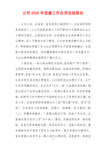公司2025年党建工作自评总结报告