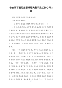 公安厅下基层挂职锻炼民警于梁工作心得2篇