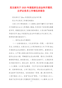 党支部关于2025年度组织生活会和开展民主评议党员工作情况的报告