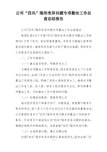 公司“四风”隐形变异问题专项整治工作自查总结报告