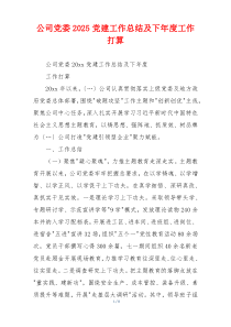 公司党委2025党建工作总结及下年度工作打算