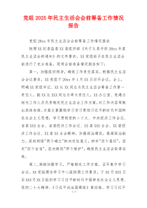党组2025年民主生活会会前筹备工作情况报告