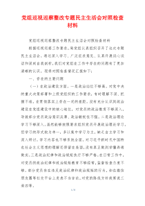 党组巡视巡察整改专题民主生活会对照检查材料