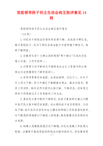 党组领导班子民主生活会相互批评意见14例