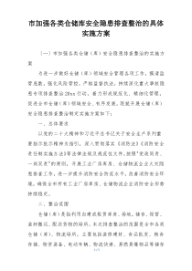 市加强各类仓储库安全隐患排查整治的具体实施方案