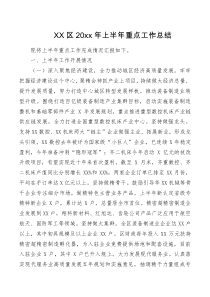 XX区20XX年上半年重点工作总结