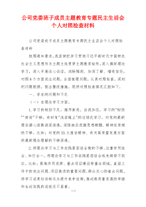公司党委班子成员主题教育专题民主生活会个人对照检查材料