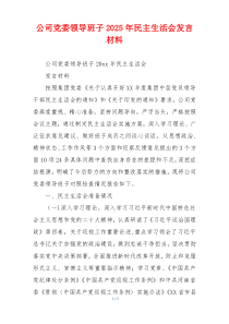 公司党委领导班子2025年民主生活会发言材料