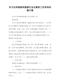 市文化和旅游局旅游行业志愿者工作具体实施方案