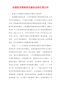 加强党支部规范化建设总结汇报公司