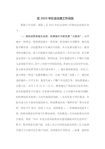 区2024年社会治理工作总结