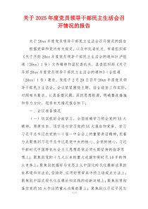 关于2025年度党员领导干部民主生活会召开情况的报告