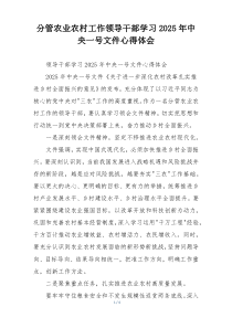 分管农业农村工作领导干部学习2025年中央一号文件心得体会