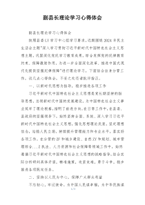 副县长理论学习心得体会