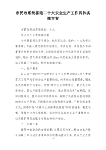市民政系统喜迎二十大安全生产工作具体实施方案